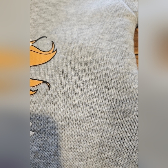 DISNEY FROZEN 11 DESTINY AWAITS ELSA & ANNA GRAY HOODIE SIZE 6X - Picture 8 of 8